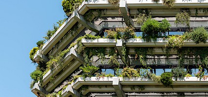 begrünte Gebäudehülle der Zukunft