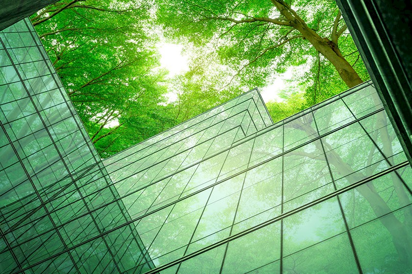 Nachhaltige Vergabe: Glashaus in einem Wald
